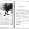 Кораліна (ілюстрації Кріса Рідделла). Ніл Ґейман (Укр) КМ-Букс (9789669484352) (510384) - Зображення 3