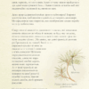 Крейдовий період. Динозаври та інші прадавні тварини (Укр) КСД (9786171283084) (512602) - Зображення 7