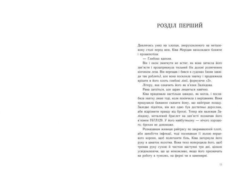Тюремна цілителька. Книга 1. Ноні Лінет (Укр) Readberry (9786170984708) (510900) - Зображення 3