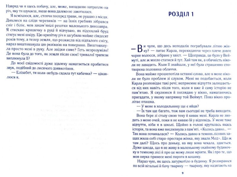 Елізабет зникла. Емма Хілі (Укр) Vivat (9789669821416) (512647) - Зображення 3