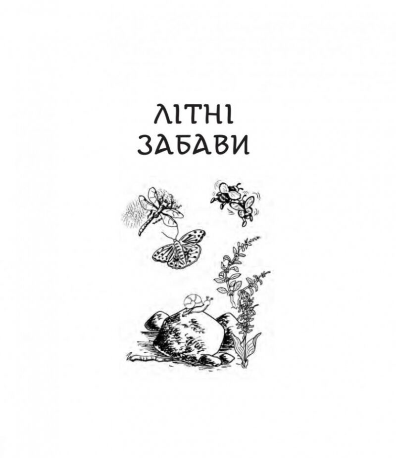 Літні забави. Повісті. Фіалко Н. (Укр) Богдан (9789661059602) (509182) - Зображення 3