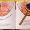 Метелик неквапливий. Арт-енциклопедія. Діана Гуттс Астон (Укр) Богдан (9789661050852) (509294) - Зображення 6