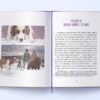 Поклик пращурів. Анімаріум. Джек Лондон (Укр) Nebo BookLab Publishing (9786177914074) (509757) - Зображення 2