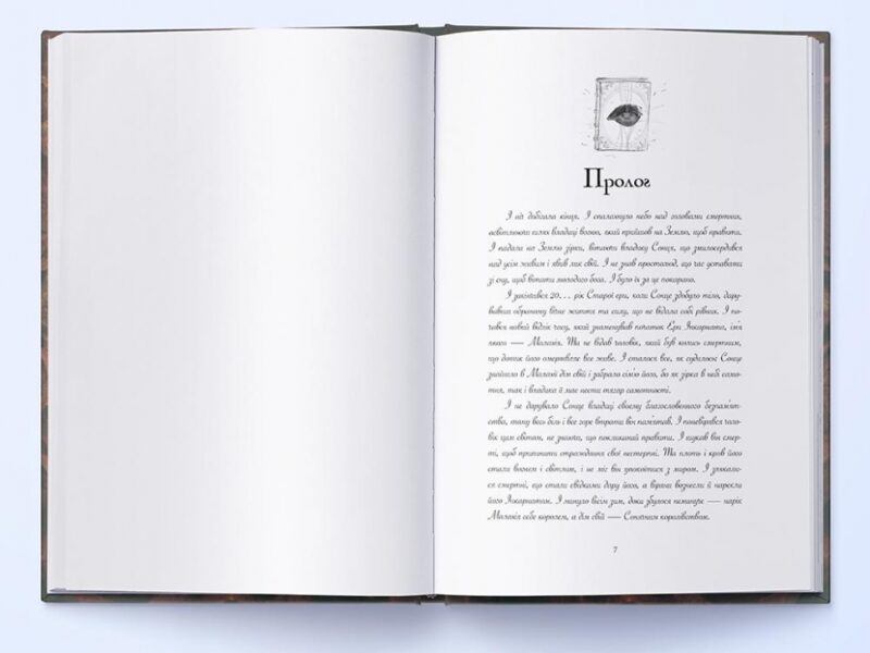 Сталь та Сонячний шторм. Частина 2. Редгрейн Лебовскі (Укр) Nebo BookLab Publishing (9786177914500) (509807) - Зображення 2