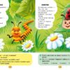 Віршики торохтушки-лепетушки. Учимо дитину розмовляти. Котка А. (Укр) Кристал Бук (9786175472781) (515183) - Зображення 3