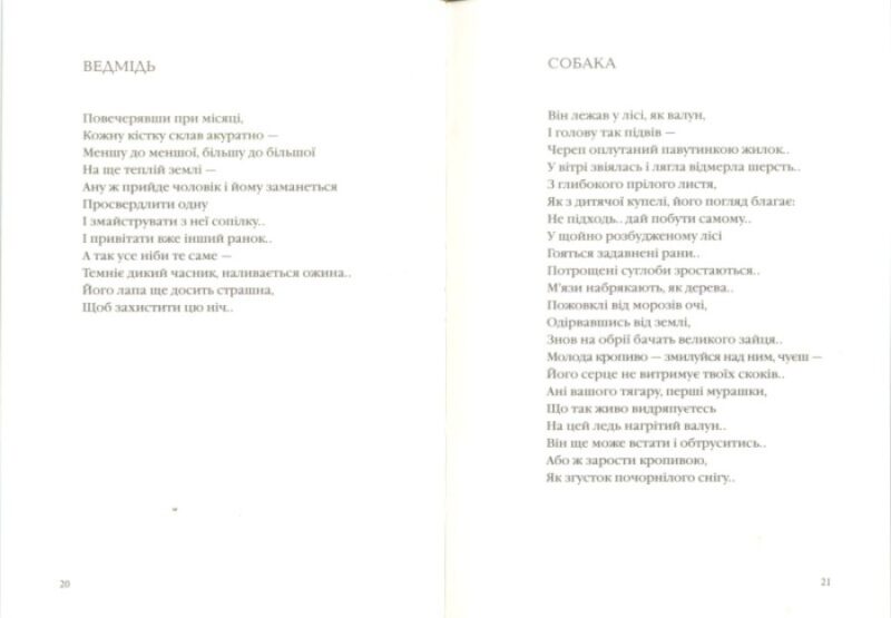 Зима в Тисмениці. Лишега О. (Укр) А-ба-ба-га-ла-ма-га (9786175850664) (514062) - Зображення 2