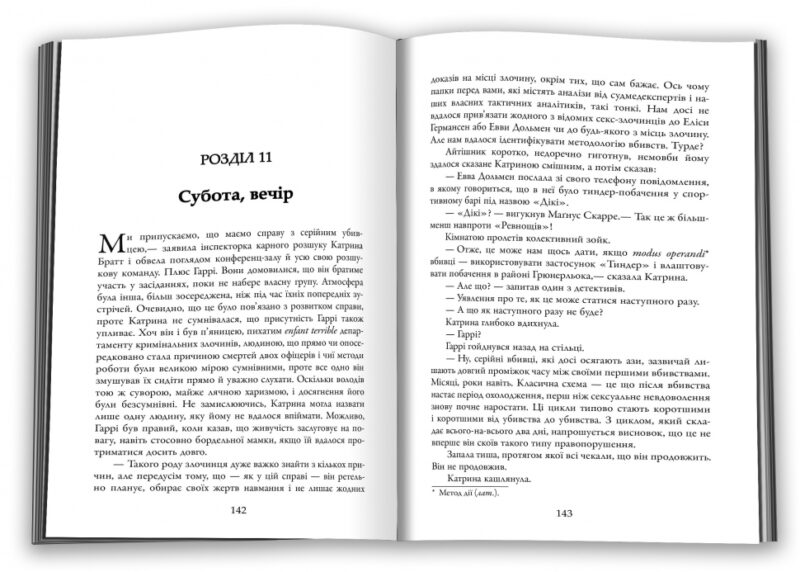 Жага (детектив Гаррі Голе). Ю Несбьо (Укр) КМ-Букс (9789669485564) (515769) - Зображення 2
