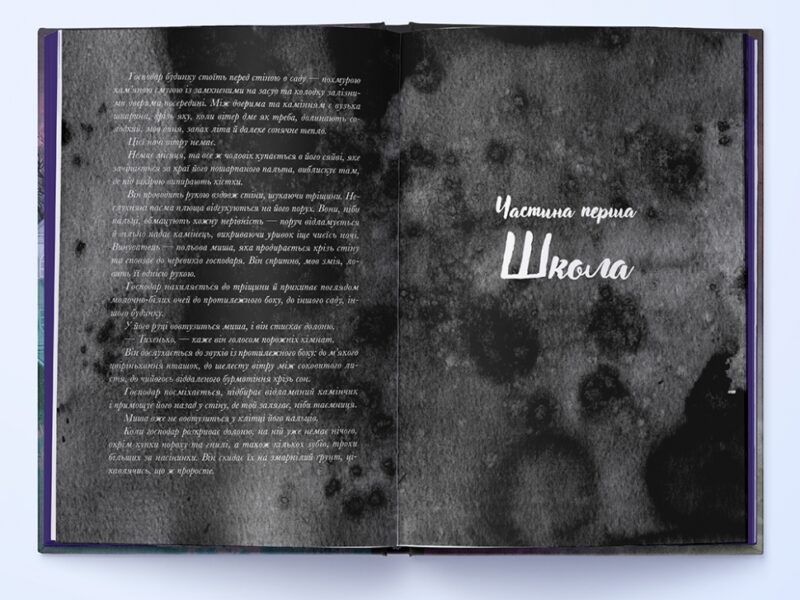Галант. В. Е. Шваб (Укр) Nebo BookLab Publishing (9786178383220) (516113) - Зображення 2