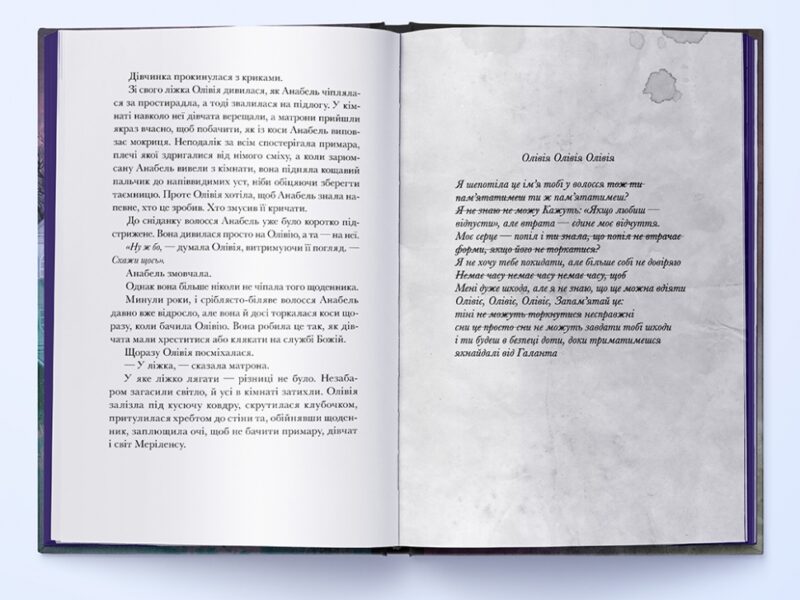 Галант. В. Е. Шваб (Укр) Nebo BookLab Publishing (9786178383220) (516113) - Зображення 3