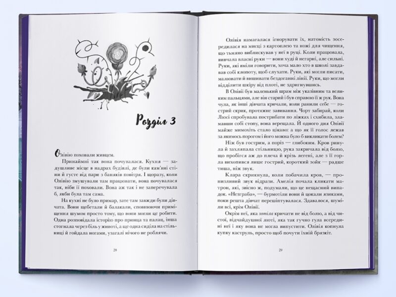Галант. В. Е. Шваб (Укр) Nebo BookLab Publishing (9786178383220) (516113) - Зображення 5