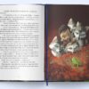 Книга джунглів. Ред'ярд Кіплінґ (Укр) Nebo BookLab Publishing (9786178383251) (516116) - Зображення 2