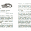 Гонихмарник. Дара Корній. Книга 1 (Укр) Readberry (9786170988089) (512361) - Зображення 7