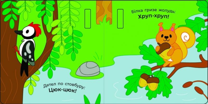 Що чути... У лісі. Процун К., Романова О. (Укр) Ранок (9786170980403) (504259) - Зображення 3