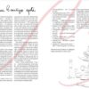 Здоровий раціон для кращої версії себе. Соколова О. (Укр) Vivat (9789669823458) (516167) - Зображення 3