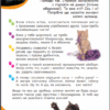 Я люблю котиків (Укр) Зірка 144028 (9786176342083) (473635) - Зображення 2