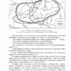 Історія цивілізації. Україна. Від Русі до Галицького князівства (900-1256). Том 2. Черненко О., Моця О., Бубенок О. (Укр) Фоліо (9789660397729) (515536) - Зображення 11