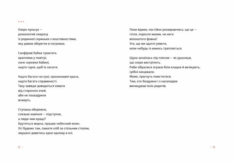 Каміння і цвяхи. Мусаковська Ю., Манн О. (Укр) ВСЛ (9789664482988) (514164) - Зображення 5
