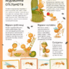 Світ мурах. Штєпанка Секанінова (Укр) Vivat (9786171703186) (519735) - Зображення 5