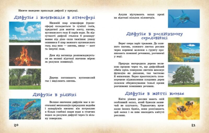 НУШ Фізичні явища навколо нас 7-8 клас. Годована Н.Б., Кравець Т.А. (Укр) Ранок (9786170990570) (517116) - Зображення 7