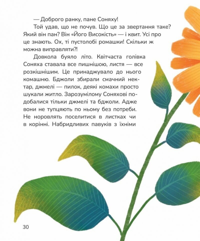 Вистрибеньки сонячних зайчиків. Дара Корній (Укр) Маґура (9786178177010) (521133) - Зображення 6