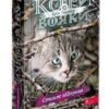 Коти - вояки. Стихле відлуння. Знамення Зореклану. Книга 2 – Ерін Гантер (Укр) Асса (9786178229931) (521389)
