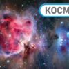 Наш світ у малюнках. Енциклопедія про все. Кім Брайан (Укр) Ранок (9786170987754) (517515) - Зображення 5