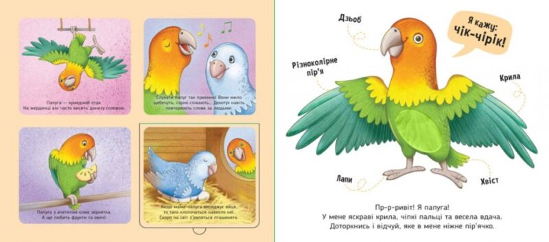 Мої улюбленці. Познайомся і погладь. Потаніна І. (Укр) Ранок (9789667511920) (503787) - Зображення 2