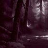Вікінги й Оракул. Північне сяйво. Книга 2. Малін Фальк (Укр) Vivat (9786171702523) (522004) - Зображення 3