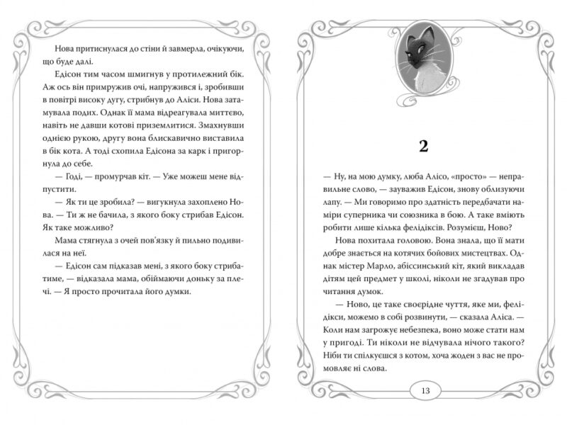 Опівнічні коти. Король Володарів Пір’їн. Книга 3. Барбара Лабан (Укр) Рідна мова (9786178426217) (521542) - Зображення 4