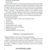 Крадійка книжок. Маркус Зузак (Укр) КСД (9786171511668) (521626) - Зображення 4