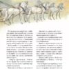 Велика книга про фей і принцес. Пітер Холейнон (Укр) Vivat (9786171704756) (522673) - Зображення 8