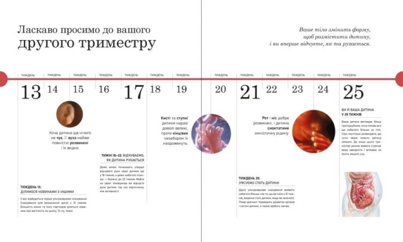 Вагітність день за днем. Практична психологія. Блотт Меґґі (Укр) Ранок (9786170991058) (518979) - Зображення 3