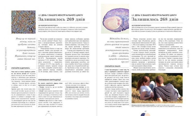 Вагітність день за днем. Практична психологія. Блотт Меґґі (Укр) Ранок (9786170991058) (518979) - Зображення 4