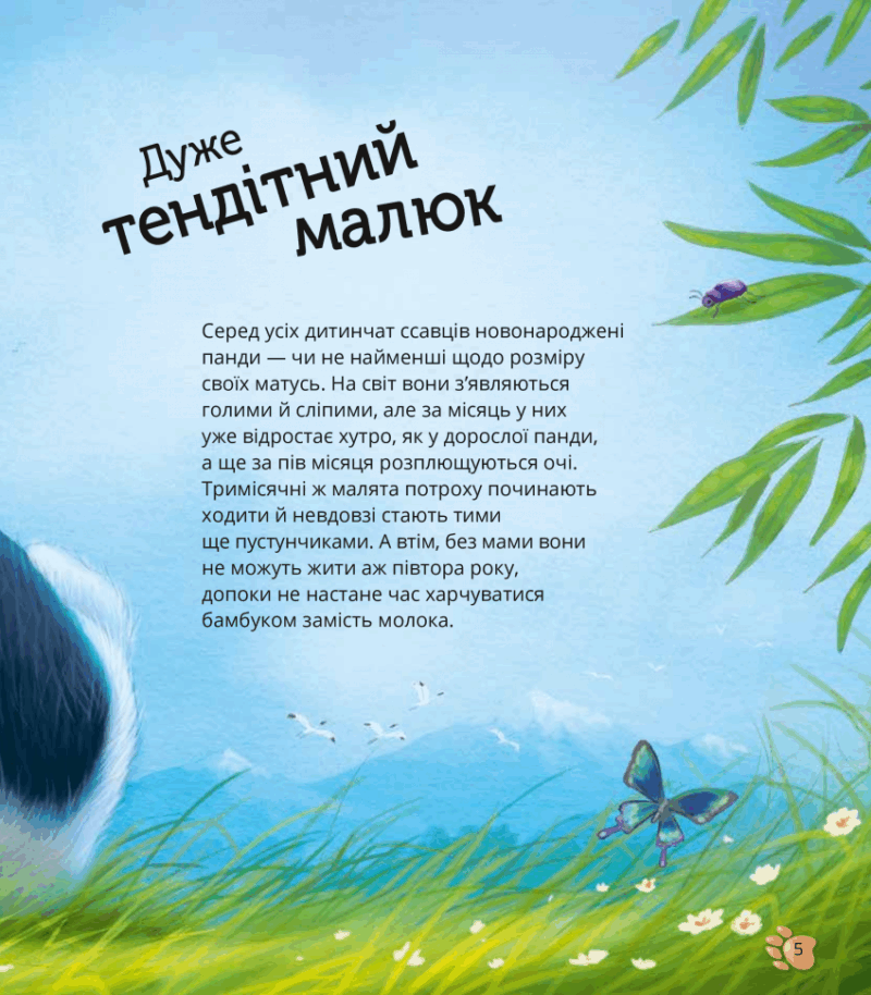 Наймиліші малюки тварин. Алехандро Альґарра (Укр) Vivat (9786171705302) (523858) - Зображення 5