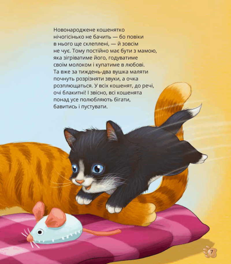 Наймиліші малюки тварин. Алехандро Альґарра (Укр) Vivat (9786171705302) (523858) - Зображення 7