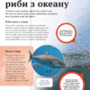 Дитяча енциклопедія довкілля. Гелен Дваєр, Джилл Гамфрі (Укр) Vivat (9786171704831) (523869) - Зображення 9