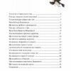 Ведмежуня мандрує в Карпати – Стретович С. (Укр) Vivat (9786171701052) (524306) - Зображення 3
