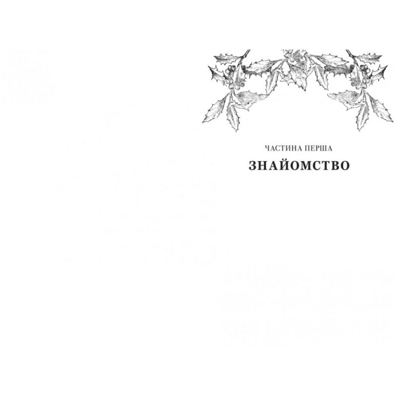 12 вбивчих днів – Андрейна Кордані (Укр) Книголав (9786178439026) (524761) - Зображення 3