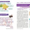 Історія України 11 клас. Підручник (рівень стандарту) – Гісем О.В., Мартинюк О.О., Галімов Акім (Укр) Ранок (9786170993182) (523670) - Зображення 5
