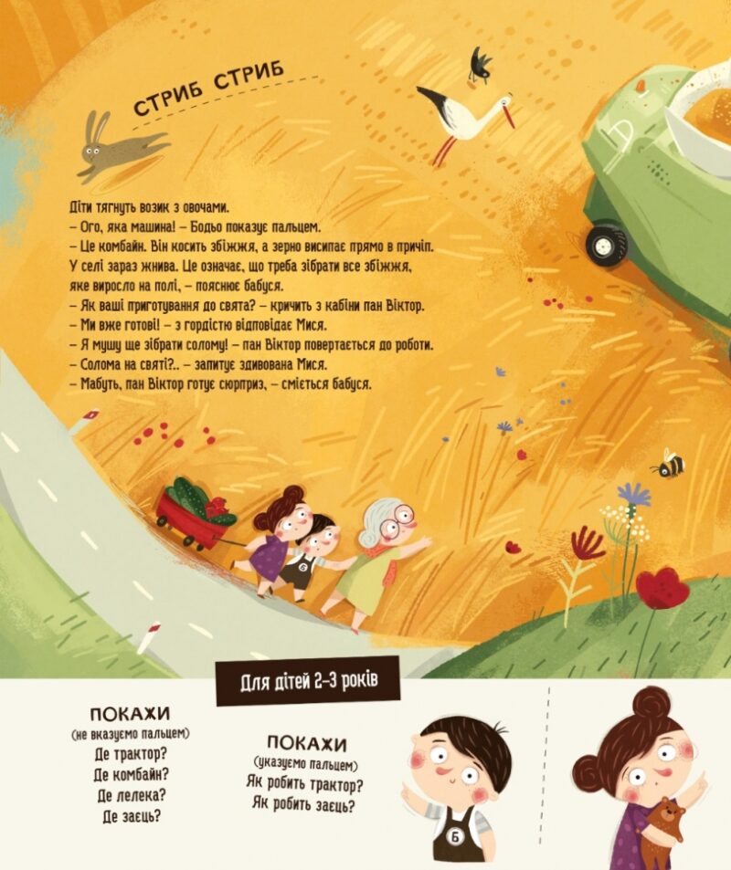 Бодьо в селі. Я граюся, я вчуся – Марта Галевська-Кустра (Укр) Час майстрів (9786178318079) (525069) - Зображення 2