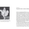 Мерилін. Пристрасть і парадокс – Лоїс Беннер (Укр) Фабула (9786175222102) (520603) - Зображення 5