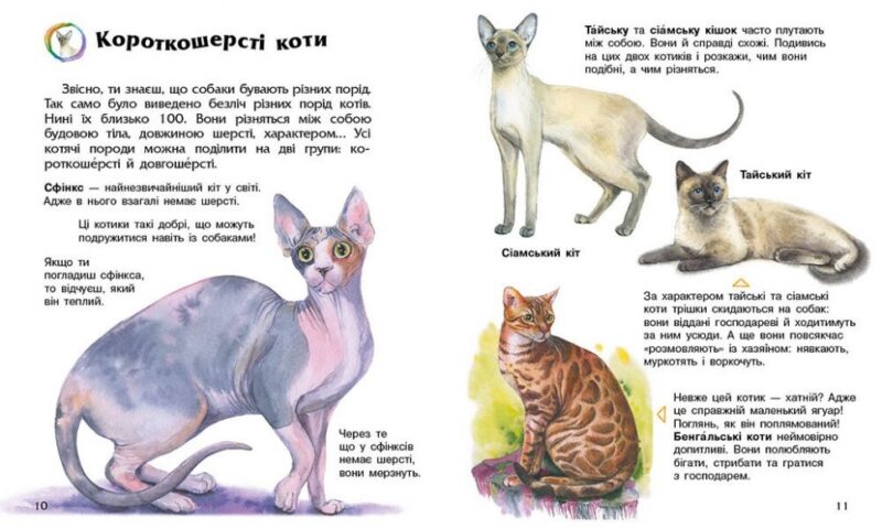 Коти. Енциклопедія дошкільника – Каспарова Ю.В. (Укр) Ранок (9786170992741) (524374) - Зображення 2