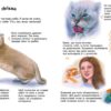 Коти. Енциклопедія дошкільника – Каспарова Ю.В. (Укр) Ранок (9786170992741) (524374) - Зображення 3