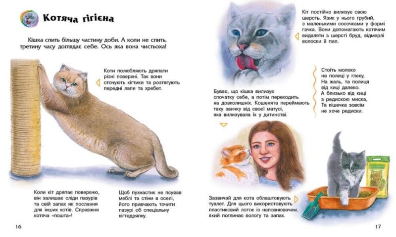 Коти. Енциклопедія дошкільника – Каспарова Ю.В. (Укр) Ранок (9786170992741) (524374) - Зображення 3