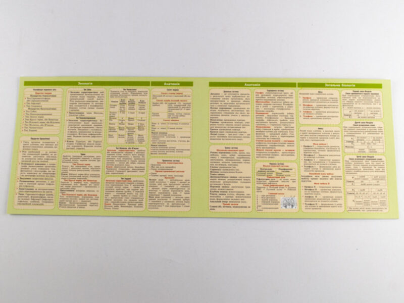 Картонка-підказка Біологія 40*15 см Зірка 66445 (9789660815582) (286296) - Зображення 4