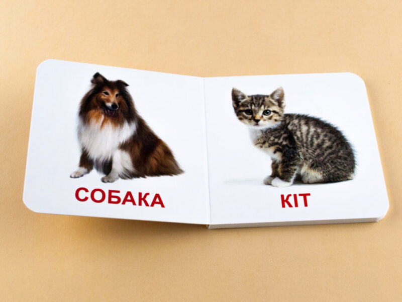 Книжка для найменших. Свійські тварини. Книга на картоні Зірка 70634 (9789663338910) (286312) - Зображення 3