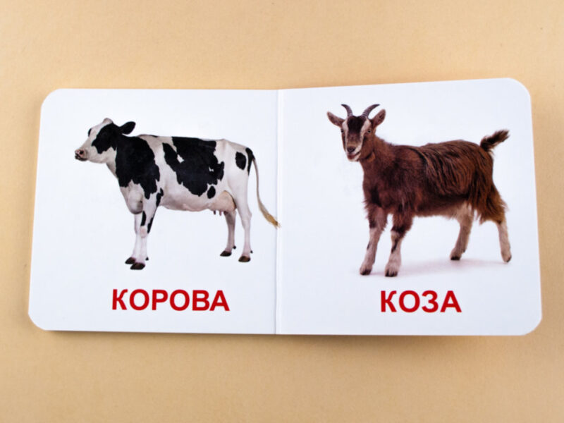 Книжка для найменших. Свійські тварини. Книга на картоні Зірка 70634 (9789663338910) (286312) - Зображення 4