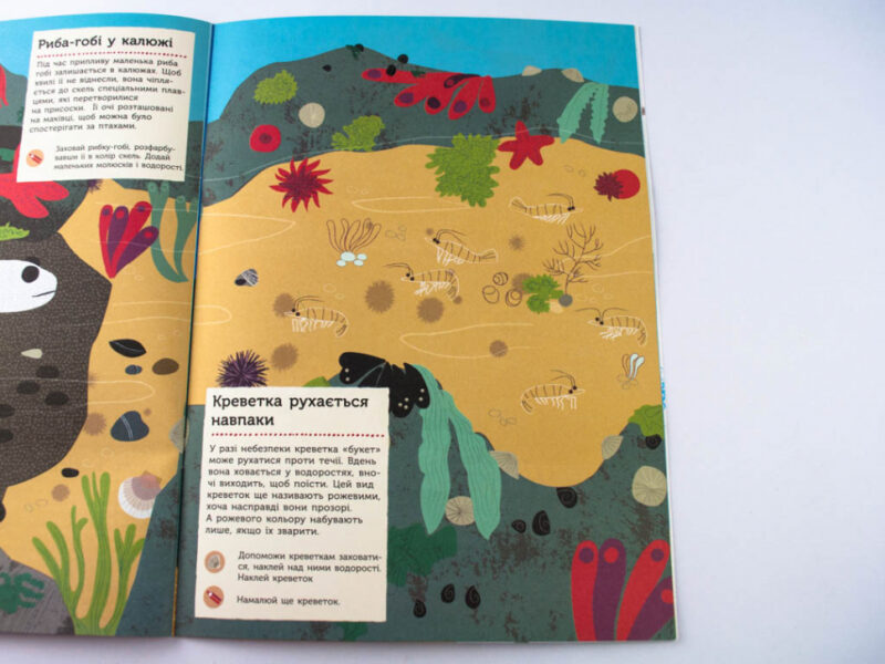 Книга з наліпками На березі моря Ранок С849006У (9786170941022) (289985) - Зображення 6