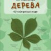 Міні-енциклопедія. Дерева. 50 найвідоміших видів (Укр) КМ-Букс (9786175383650) (284261) - Зображення 5