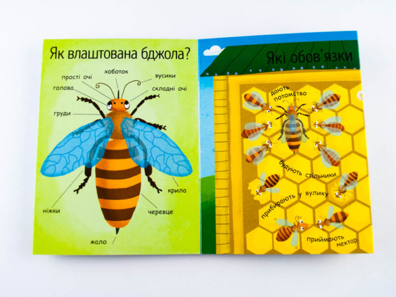 Енциклопедія Як утворюється мед? Ранок Л807006У (9789667488314) (275020) - Зображення 4